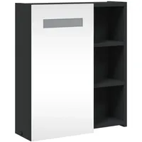 VidaXL Spiegelschrank mit LED-Beleuchtung Schwarz 45x13x52 cm