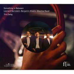Something In Between - Trio Zadig. (CD)