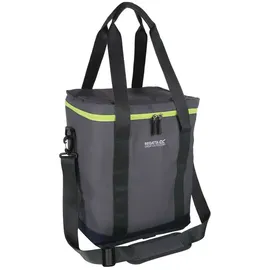 Regatta Glacio 20 l Grau