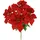 Flair Flower Weihnachtliches Bouquet aus Weihnachtsstern 50cm rot künstlich Christstern Strauß X'Mas Weihnachtsdeko Weihnachtsblume Blumen Kunstblume Blumendeko Mittelstücke Dekoblume, Poinsettia