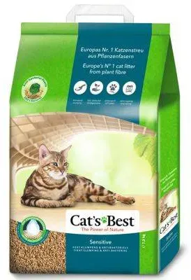 cats best