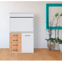 Priess Sekretär "Lissabon", braun (lichtweiß, astkernbuche), B:82cm H:139cm T:38cm, Sekretäre, Sekretär