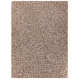 RugsX Teppich Soffi VG15571 Beige 60cm 100cm
