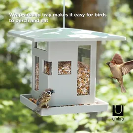 Umbra Bird Cafe