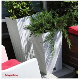 Prosperplast Rato Square 26,5 x 26,5 x 50 cm braun