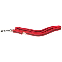 Julius-K9 IDC Color & Gray gumierte Leine, 14 mm x 1 m mit Schlaufe, Rot-Grau