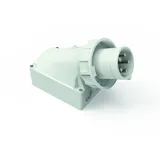 BALS Elektrotech. Wandgerätestecker 24689