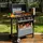Royal Gourmet 4-Brenner Gasgrill 10 kW grau