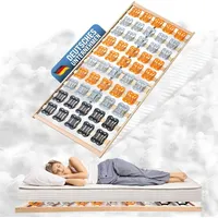 Coemo CubiFlex 7-Zonen Tellerlattenrost verstellbar 100 x 200 cm