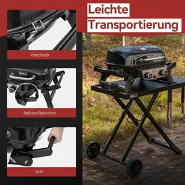 Royal Gourmet Tragbarer 2-Brenner Gasgrill schwarz