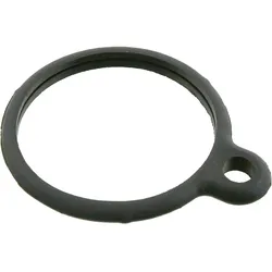 FEBI BILSTEIN Dichtung, Thermostat  für MERCEDES-BENZ EVOBUS 6172030180 A6172030180 Q83129990870 10261
