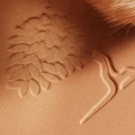 NUXE Eclat Prodigieux Puder