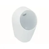 Ideal Standard Sphero MIDI Urinal B: 30 H: 55 T: 30 cm Zulauf hinten E183101