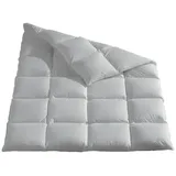 Häussling Königstraum warm 90% Daunen und 10% Federn (Größe: 220x240 cm*)