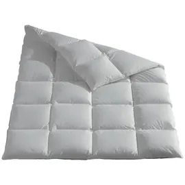 Häussling Königstraum warm 90% Daunen und 10% Federn (Größe: 220x240 cm*)