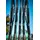 Head Gravity MP L2 Blau/Schwarz