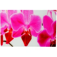 MCW Glasbild, Orchidee Multicolor