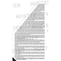 LIQUI MOLY Motorbike 2T Synth Street Race 1505 5W-30 1,0 l