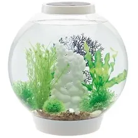 biOrb Classic 30 MCR weiß