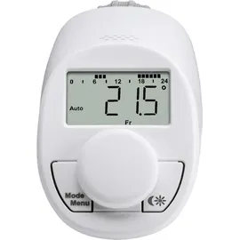 eqiva Heizkörperthermostat Modell N 1 St.