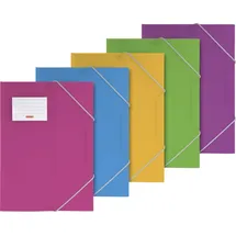 Baier & Schneider Sammelmappe FACT!pp A4 sortiert