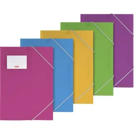 Baier & Schneider Sammelmappe FACT!pp A4 sortiert