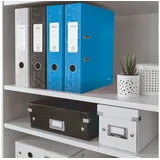 Leitz WOW DIN A4 80 mm Blau 1 St.