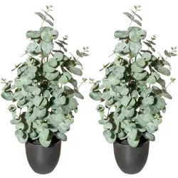 CREATIV green künstliche Pflanze Eukalyptus, ca 60cm, 2er Set