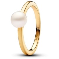 Pandora Fingerring Pandora Timeless 163157C01-52 - gold - 52