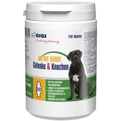GIGI VET Aktive Hunde Gelenke & Knochen 240 St
