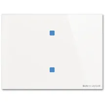 Busch-Jaeger Touch-Bedienelement TB/U2.8.11-CG