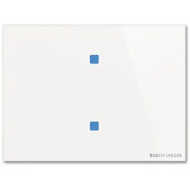 Busch-Jaeger Touch-Bedienelement TB/U2.8.11-CG