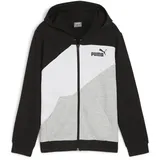 Puma PUMA Power Colorblock Full-Zip Hoodie TR B, Unisex Schweiß, PUMA Black,