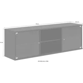 Hammel Furniture Lowboard HAMMEL FURNITURE "Mistral, Hochwertig Schrank, hängend/stehend montierbar", schwarz (schwarz gebeizt), B:133cm H:42cm T:32,5cm, Sideboards, mit zwei Glastüren, B: 133 cm, anpassungsbar Designmöbel