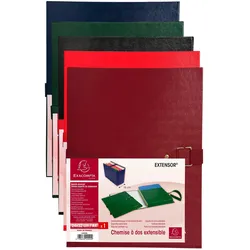 Exacompta 22090E 10x Präsentationsmap. Dehn. Rücken EXTENSOR® So - Farben sortiert
