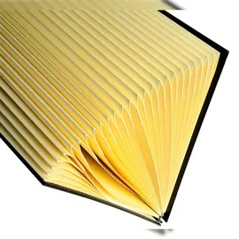 Exacompta 621265E Sammelmappe Karton Schwarz