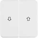 Berker 155229 Wippen mit Aufdruck Symbol Pfeil wg Up IP44
