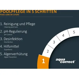 Steinbach Group Algezid Pool flüssig, 1l, Algenvernichter, Wasserpflege