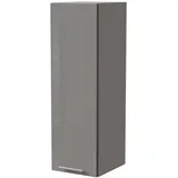 Feldmann-Wohnen Hängeschrank Essen 30 x 32,5 x 96 cm Grau