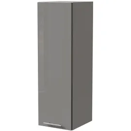 Feldmann-Wohnen Hängeschrank Essen 30 x 32,5 x 96 cm Grau