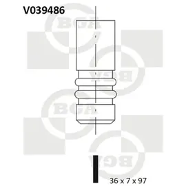 BGA Einlassventil v039486