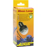 Lucky Reptile Moon Lamp - Lucky Reptile