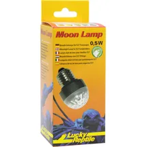 Lucky Reptile Moon Lamp - Lucky Reptile