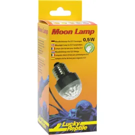 Lucky Reptile Moon Lamp - Lucky Reptile