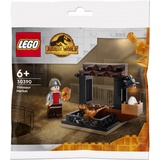 Lego Jurassic World Dinosaurier-Markt 30390