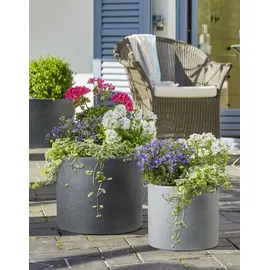 Scheurich Panzano 50 Ø 48 x 40,3 cm Grau