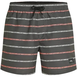O'Neill Cali First 15'' Swimshorts Grau S