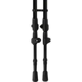 Whistler Wanderstock Delmarva 125 cm braun/schwarz
