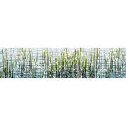 Küchenrückwand EXPRESS KÜCHEN "Seegras", bunt, B:240cm H:55,9cm, Holzwerkstoff, Spritzschutzwände