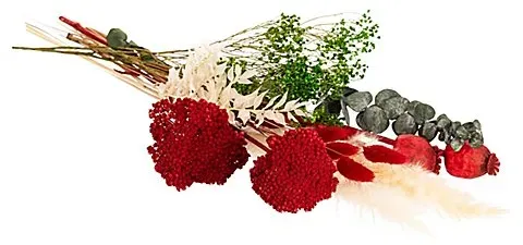 Trockenblumen-Sortiment, rot, grün